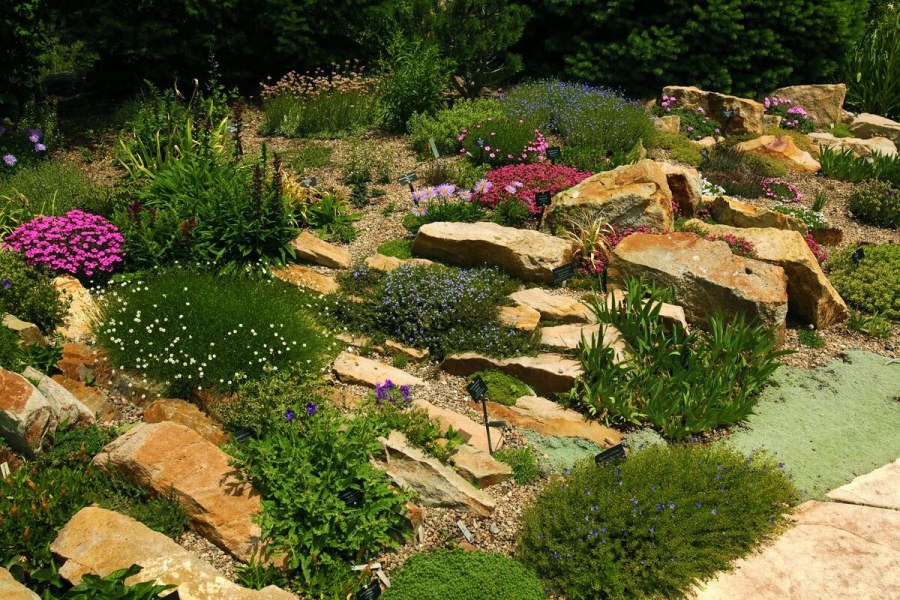 Рокарий Каменистый сад