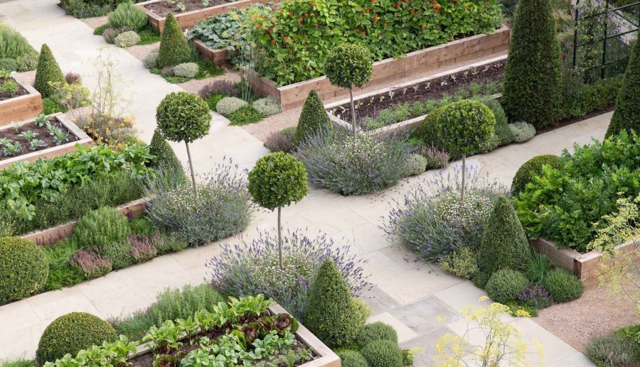 Дизайн огорода