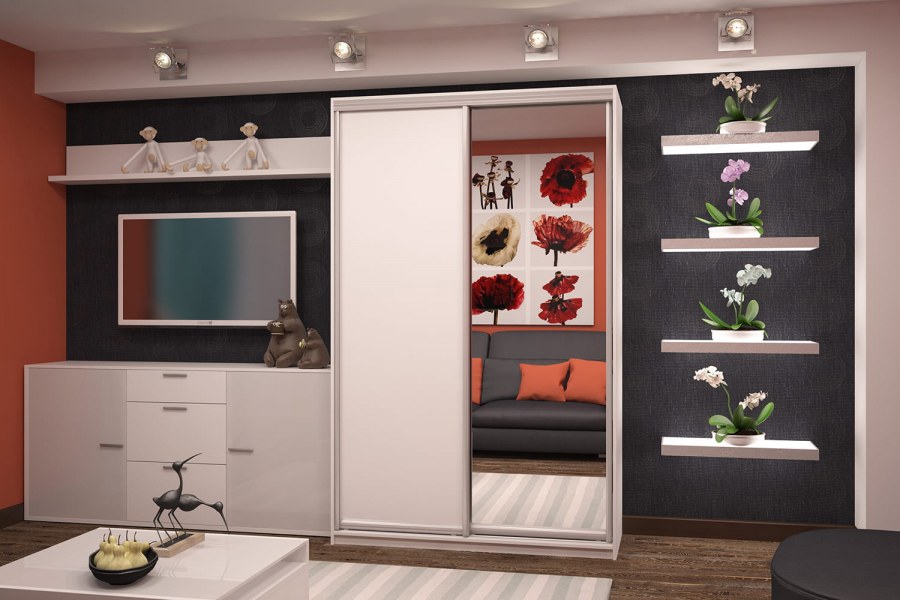 Шкаф-купе Ксения 1600 мм (м6)