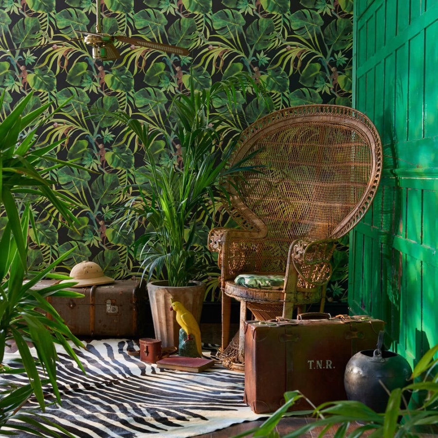 Clarke Clarke Colony