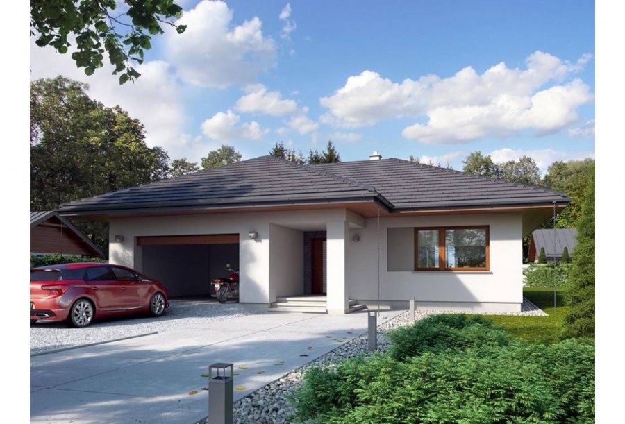 Одноэтажныйэтажный дом с гаражом