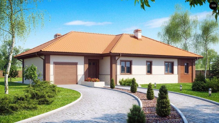 Одноэтажные дом с гаражом z10