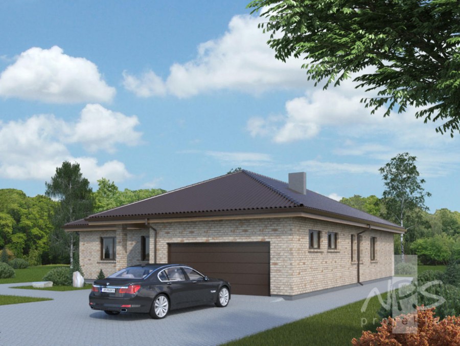 Одноэтажные дома с гаражом на 2 машины