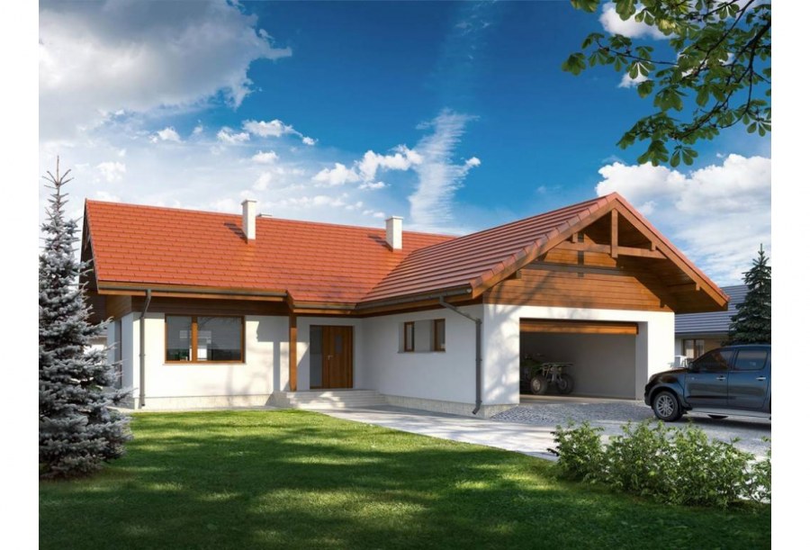 Одноэтажный дом с гаражом