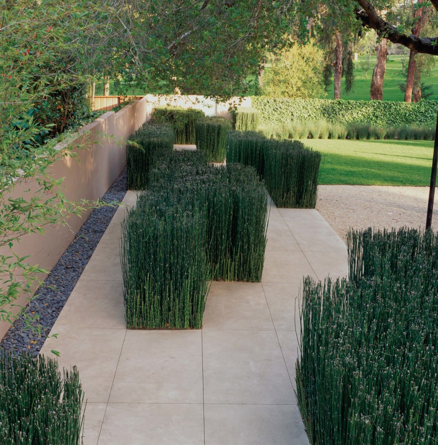 Андреа Кочран сады