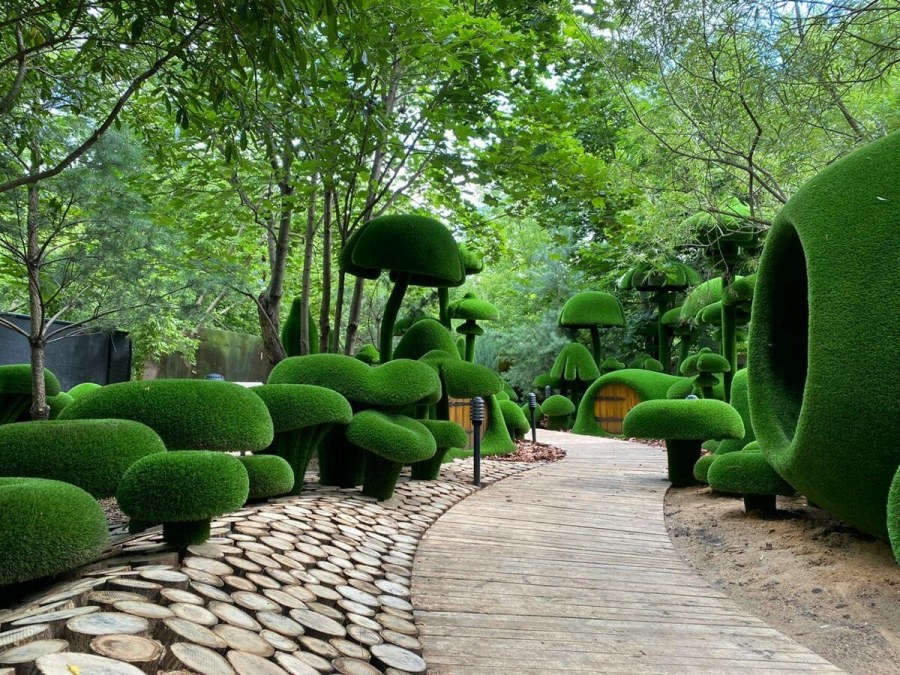 Топиари парк айва