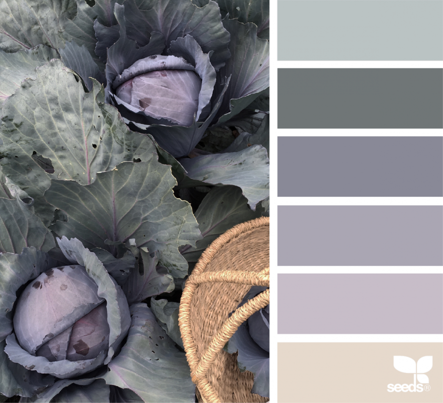 Светло серый интерьер