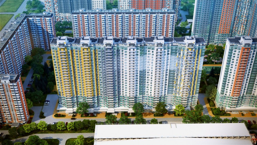 Вера Василенко дизайнер