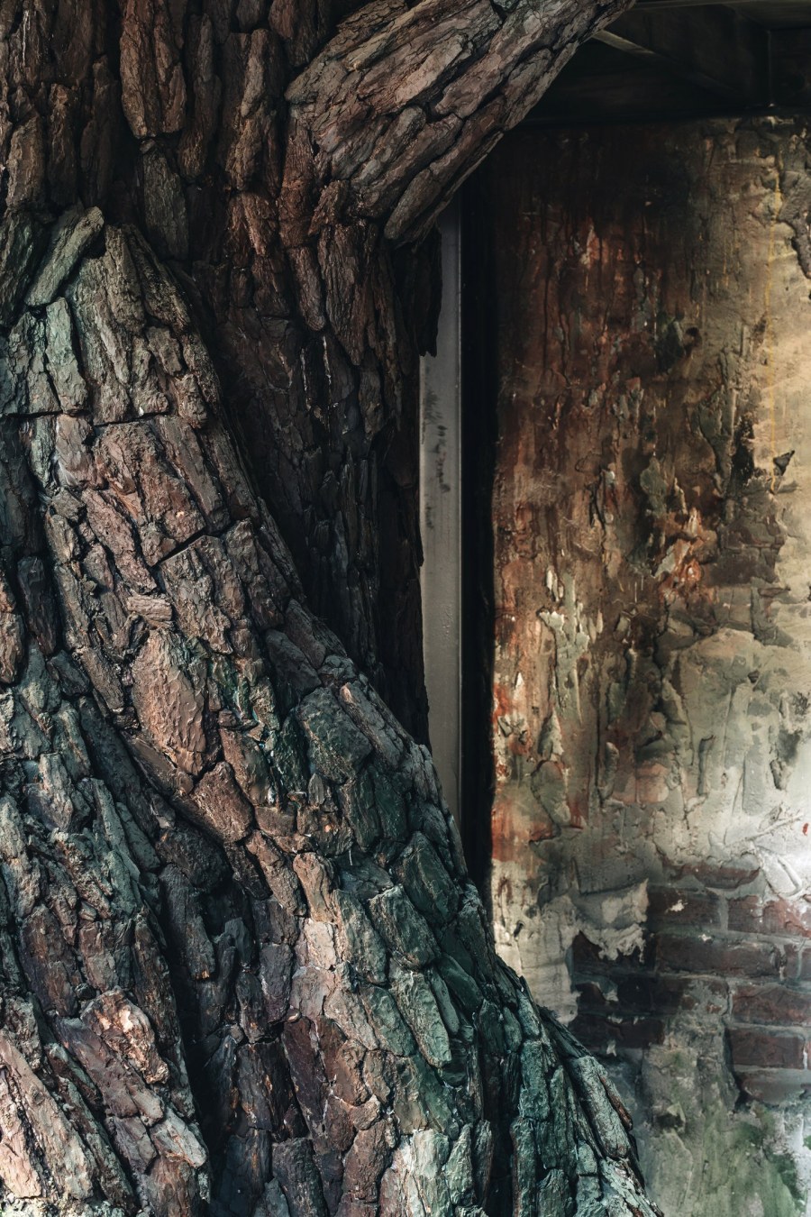 Полигон Тайвань Ленинградская область