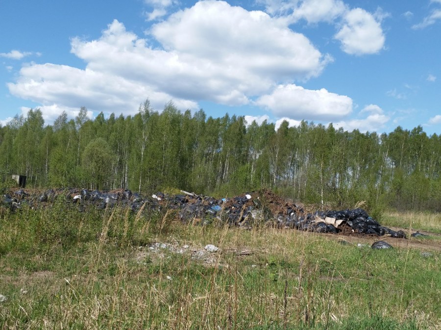 Бамбуковая перегородка