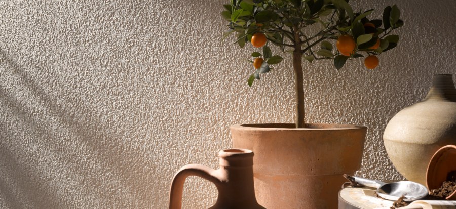 Стеклообои b008 Сакура