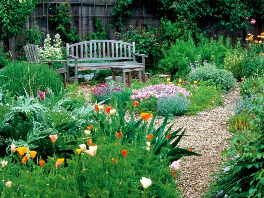 Ландшафтный дизайн дачного участка своими руками