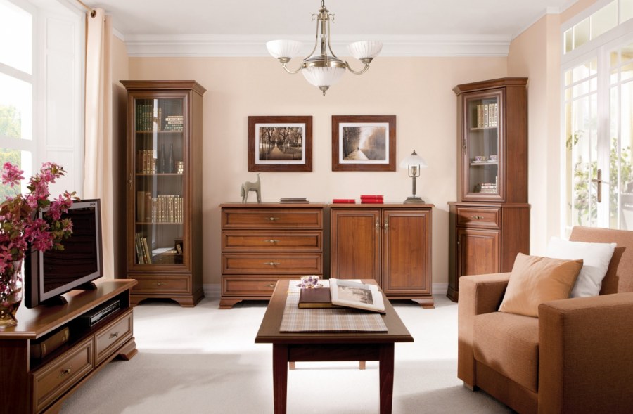 Гостиная Кентаки каштан