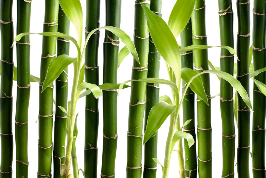 Панель бамбук