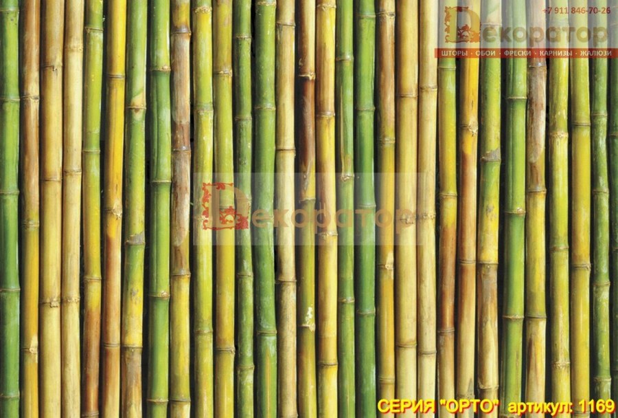 Стена из бамбука
