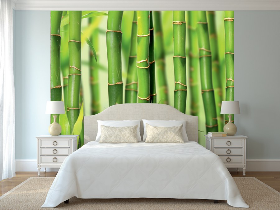 Бамбук Леруа Мерлен