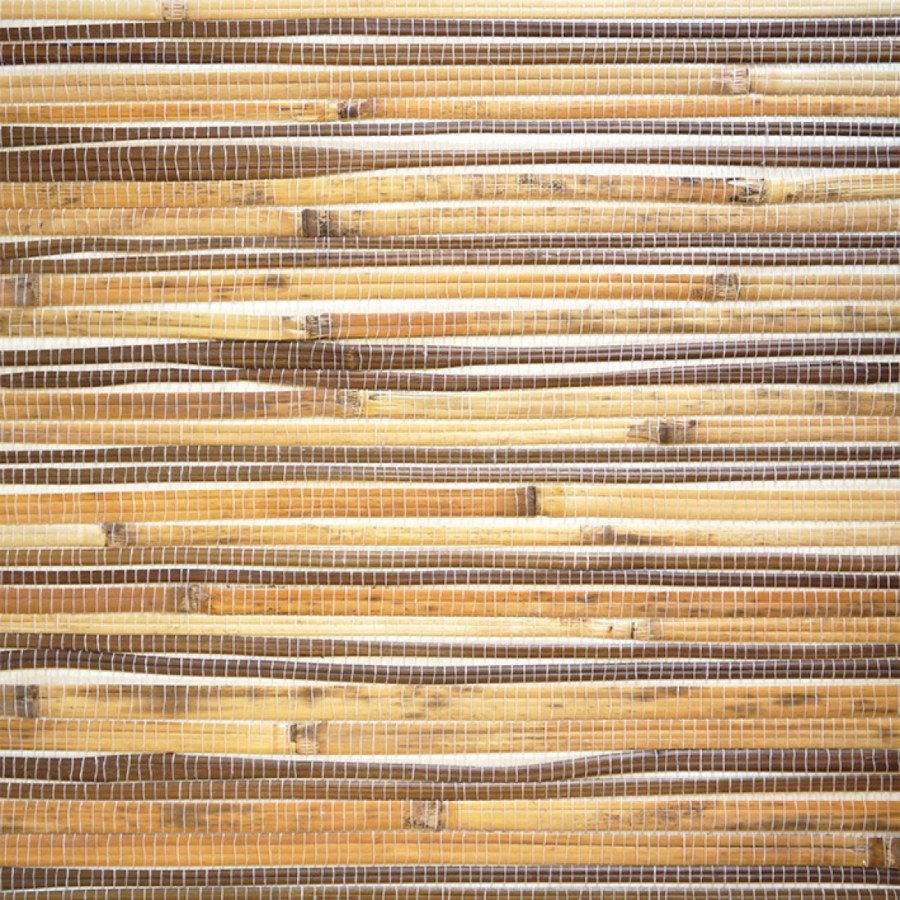 Обои натуральные дизайн Тропик бамбук-тростник