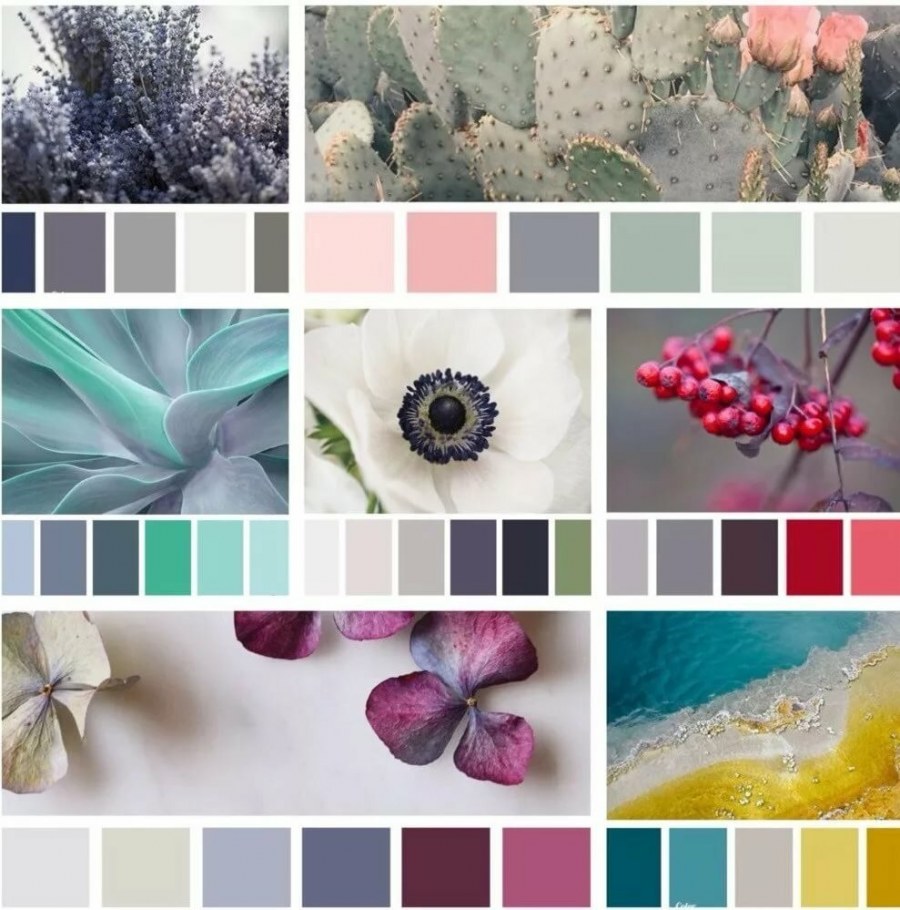 Цветовые сочетания с серым