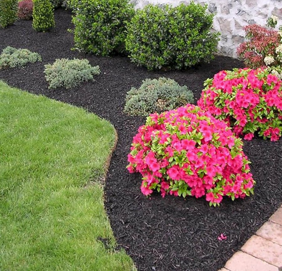 Сибирский палисадник