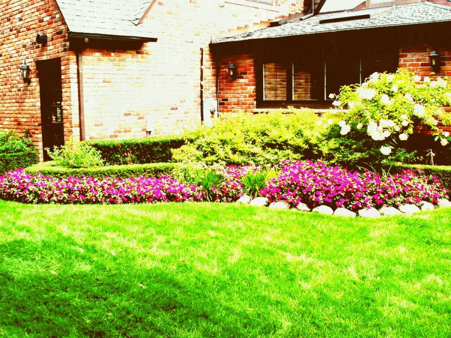 Красивый участок с газоном