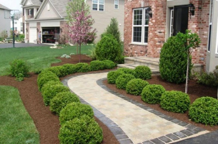 Озеленение ландшафт