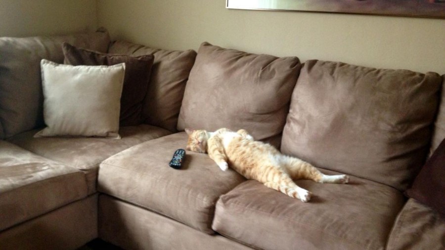 Гостиная с красным диваном