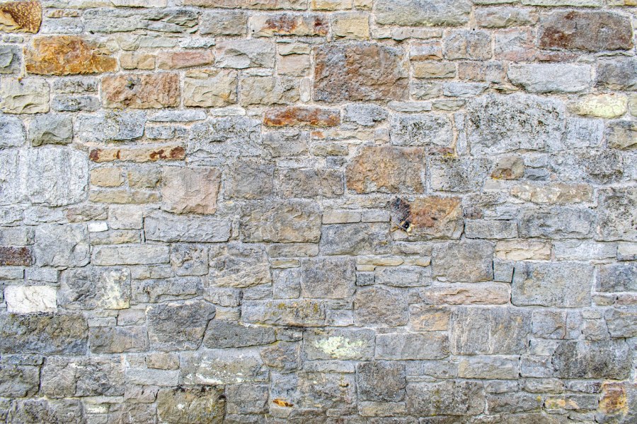 Структура белого дерева