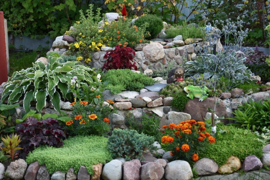 Рокарий ярусами