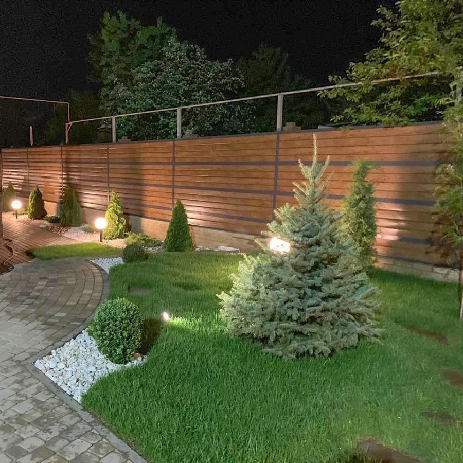 Ель вдоль забора