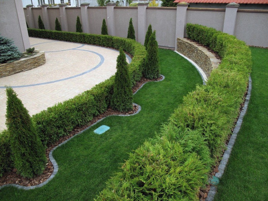 Бордюр из шаровидных туй