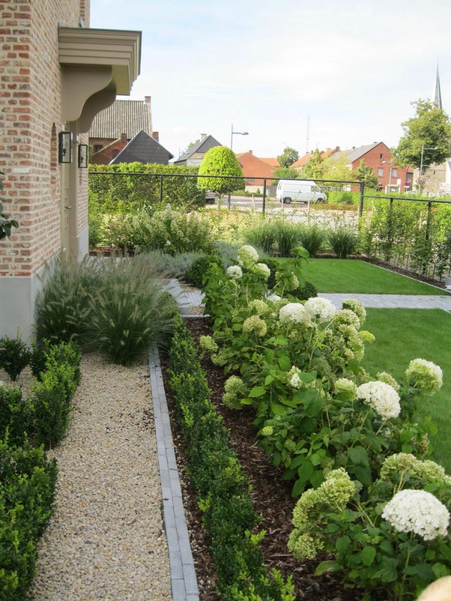 Бордюр из гортензий