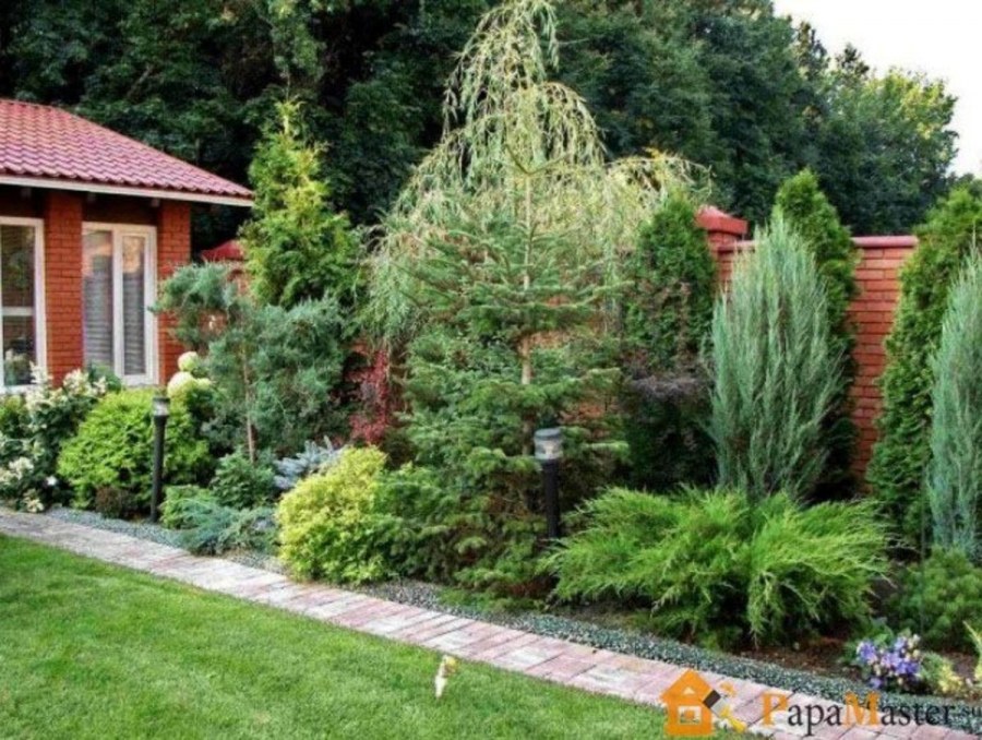 Ландшафт вдоль забора с хвойниками