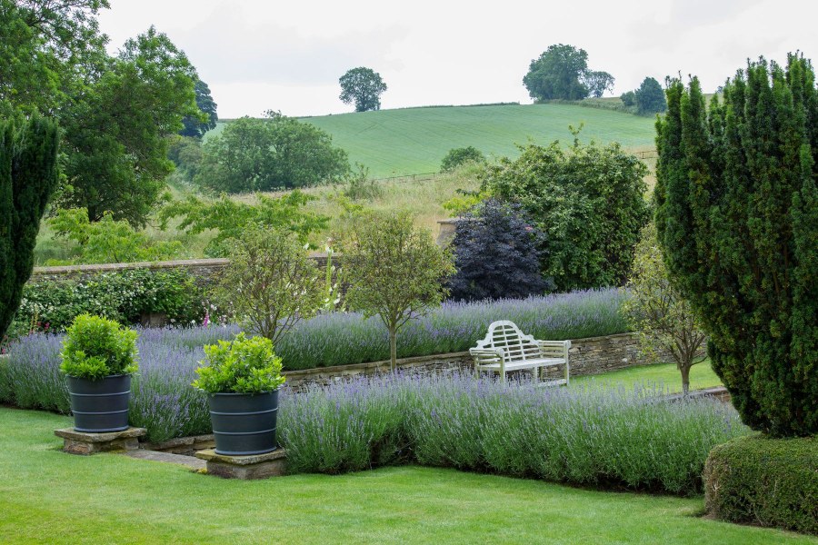 Пит Уильямс ландшафтный дизайнер