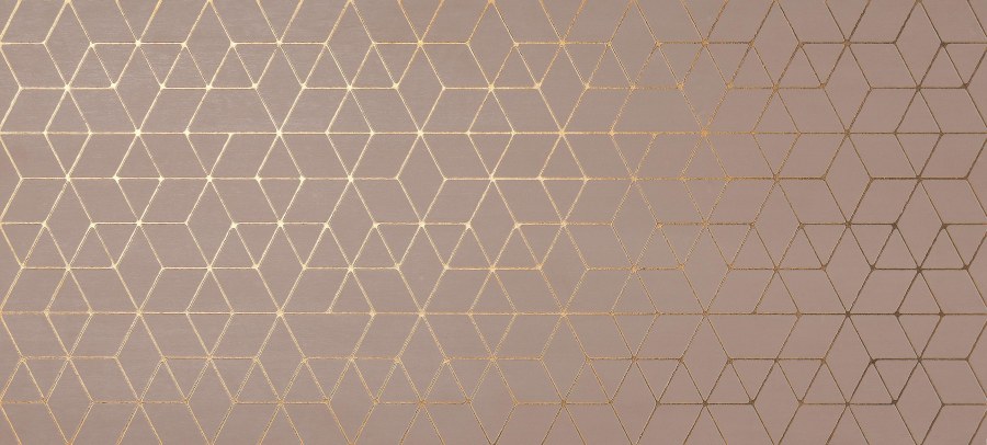 Плитка 4mho Mek Rose Hexagon 50x110