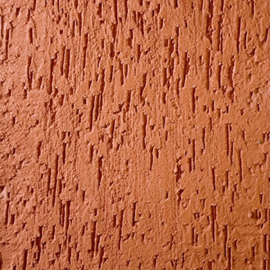 Байрамикс короед