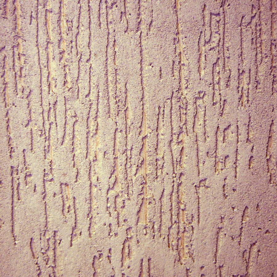 Тим 28 короед