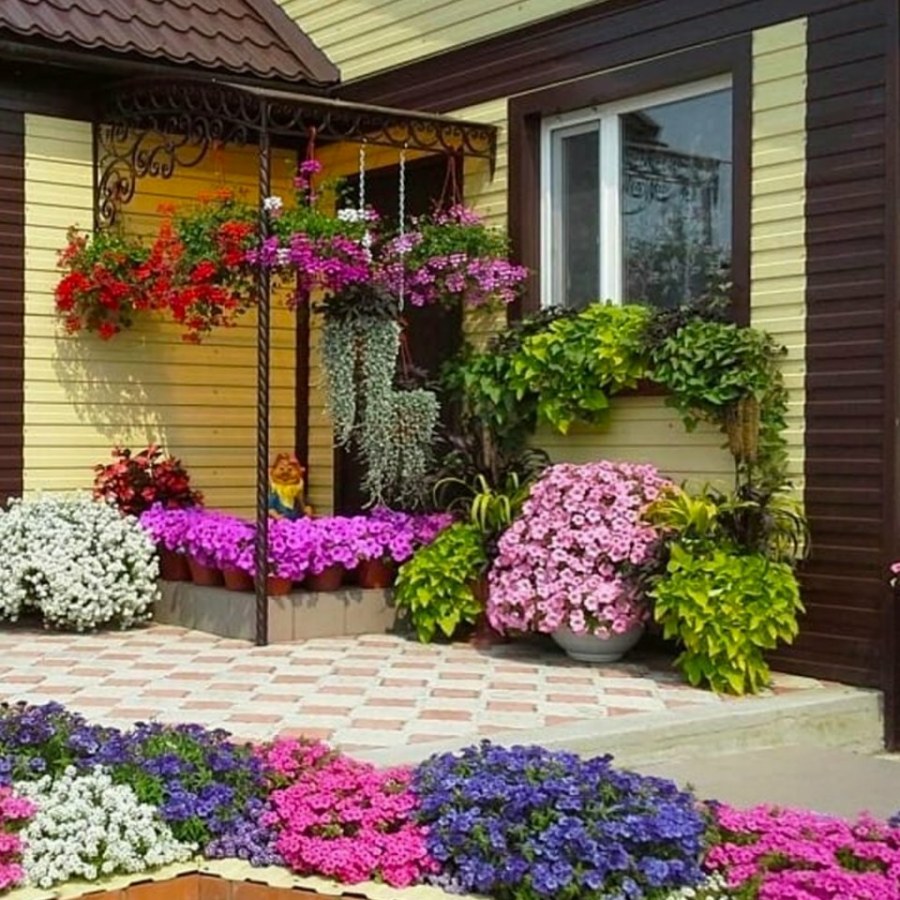 Цветочные клумбы