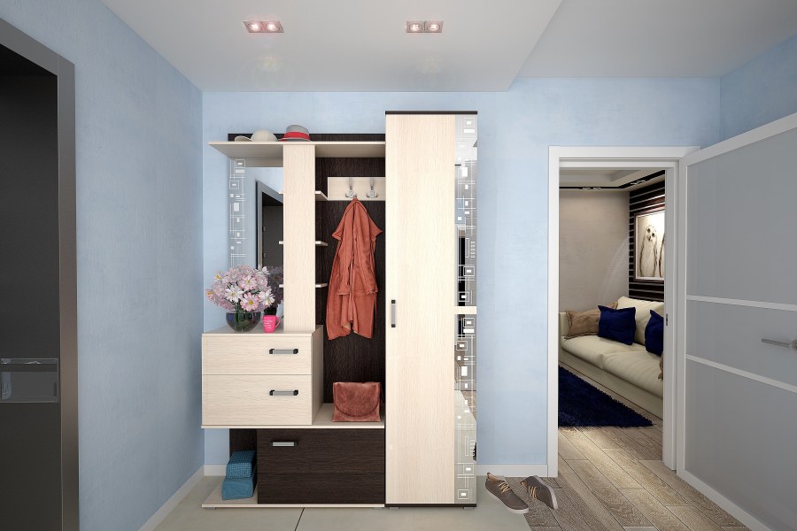 Прихожая Дарина Дисави