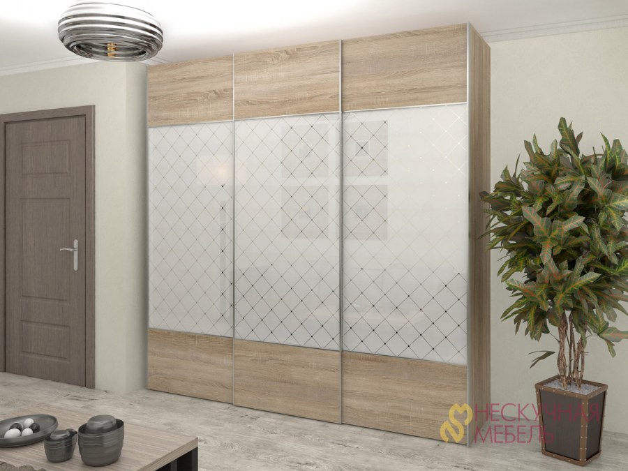 Шкаф купе риал Пеликан