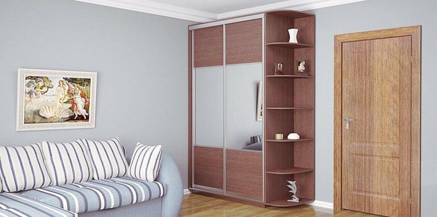 Шкаф купе Рамир Байкал 3.1