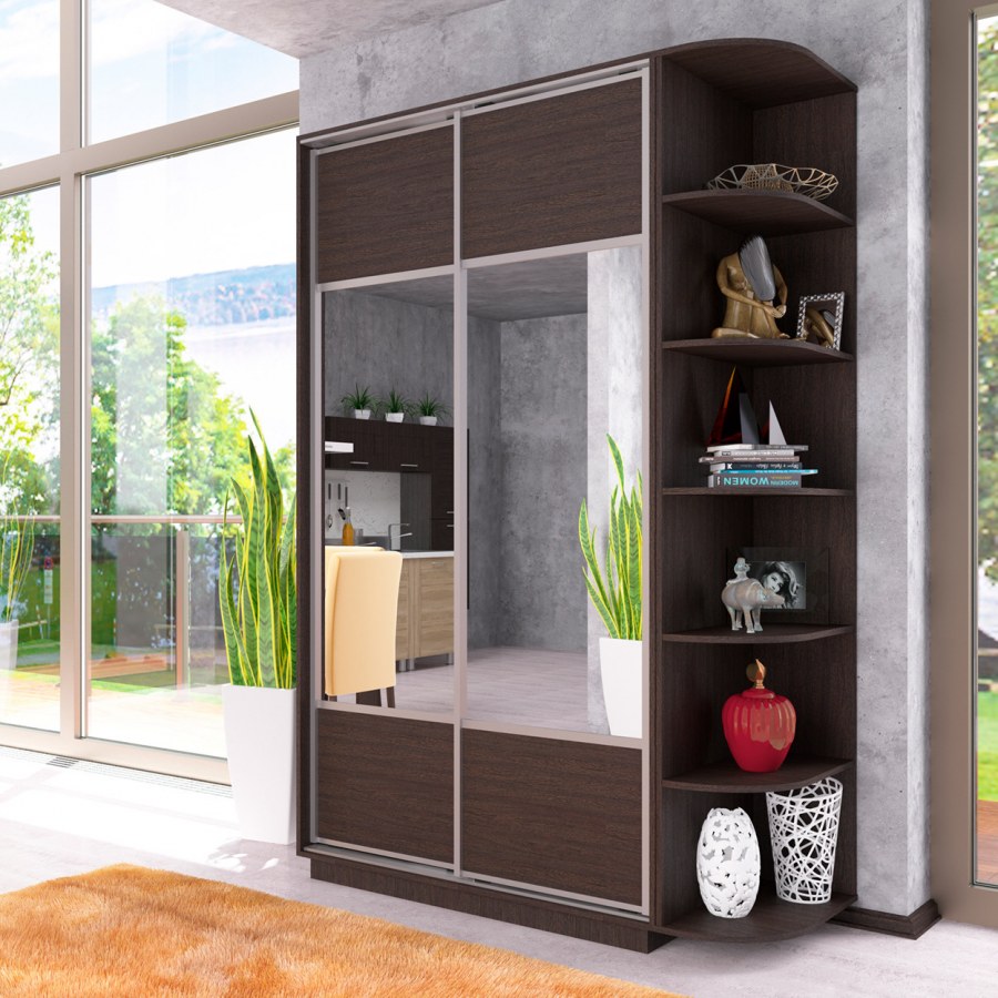 Шкаф-купе двухдверный Ника-1 с зеркалом