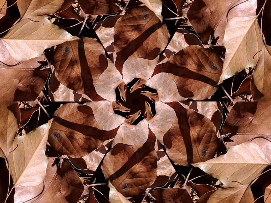 Калейдоскоп из листьев