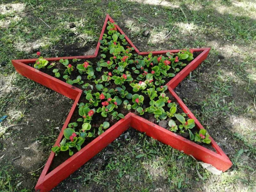 Клумба звезда