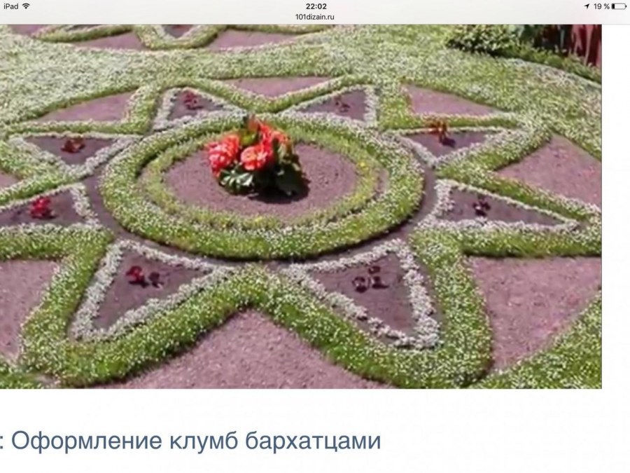 Клумба ДПК звезда