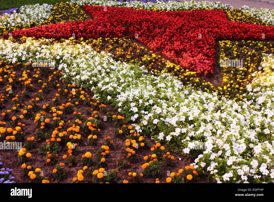 Георгиевская ленточка из цветов на клумбе