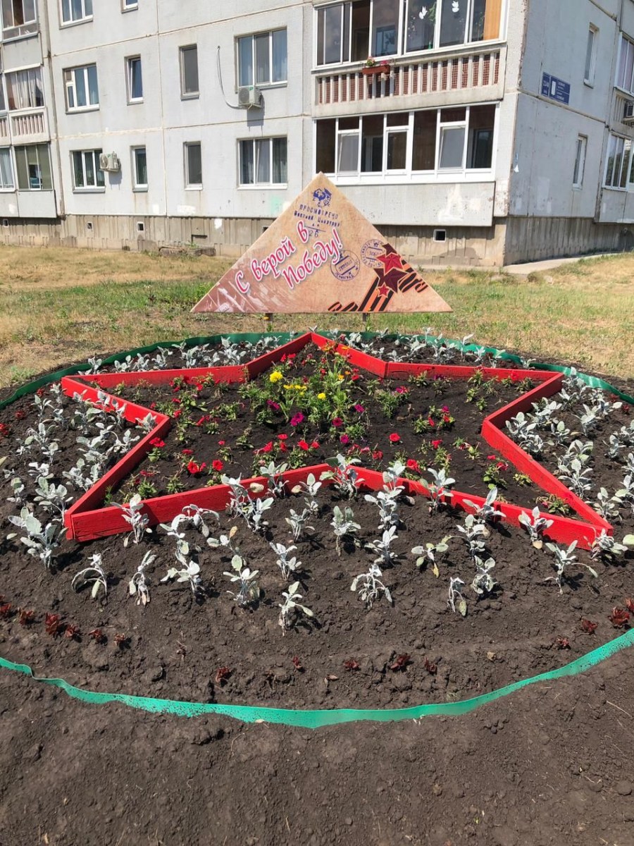 Самарский парк Победы клумбы