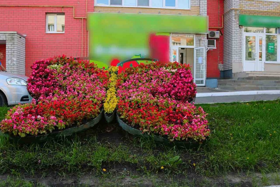 Клумба парк Победы Крестовский