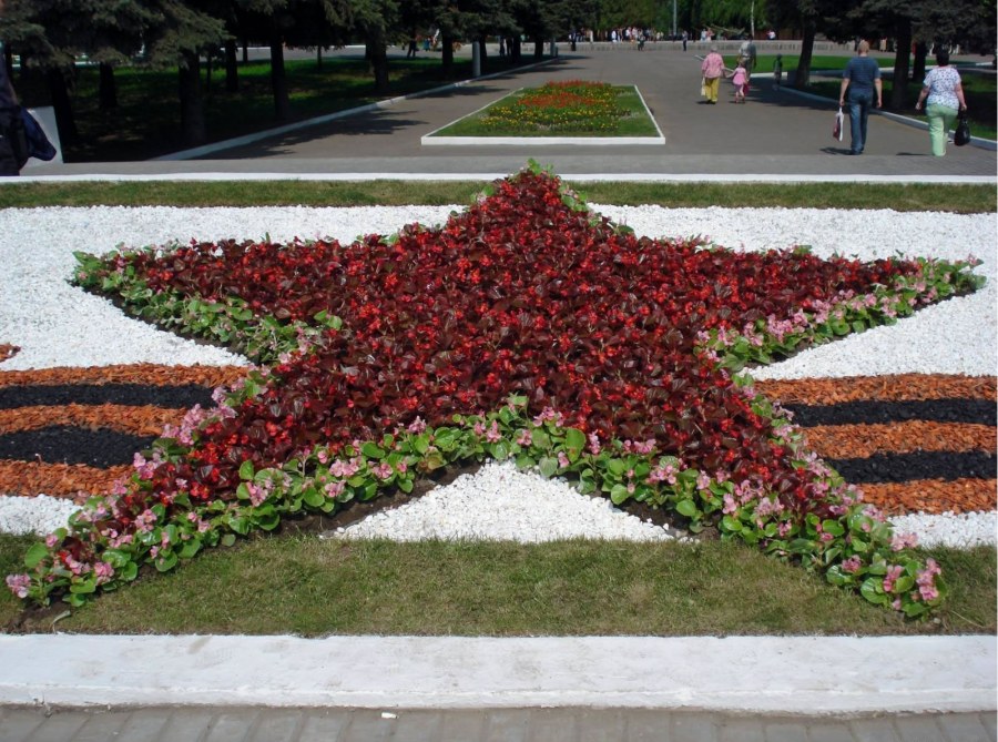 Рабатка в мемориальном парке Коломна