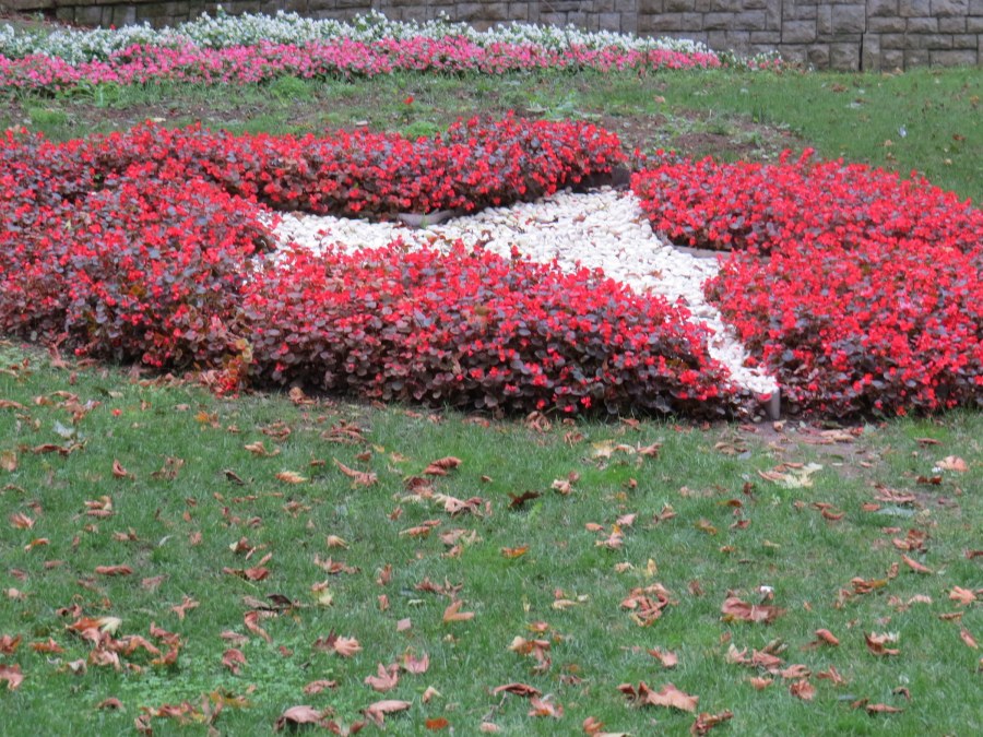 Клумба звезда