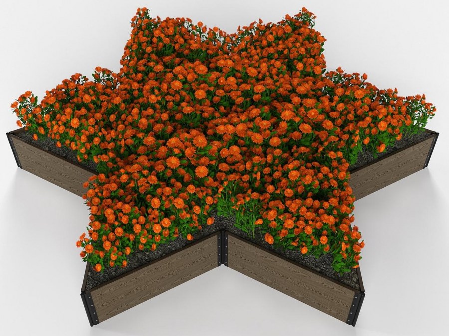 Клумба ко Дню Победы